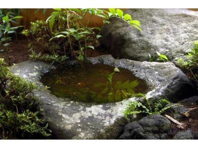 博占泰伊克同布伊酒店 上田市 客房 照片